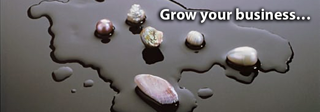 SS3.2-UdarP_ProductP